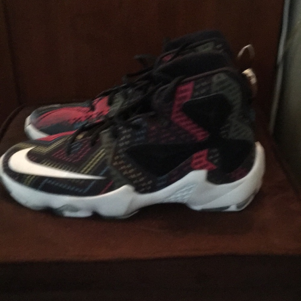 Lebrons - Picture 2 of 5